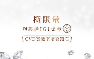 求婚專屬服務 婚戒