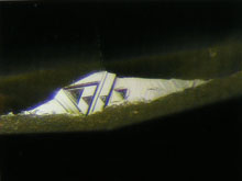 鑽石三角紋